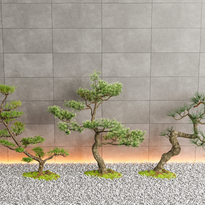  松树 罗汉松 迎客松su模型 