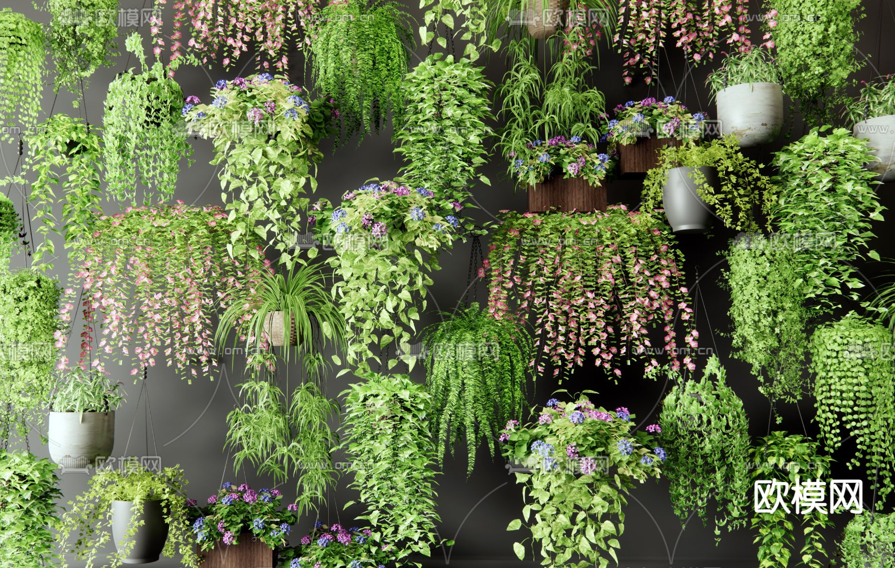 吊篮 植物 盆栽3d模型下载