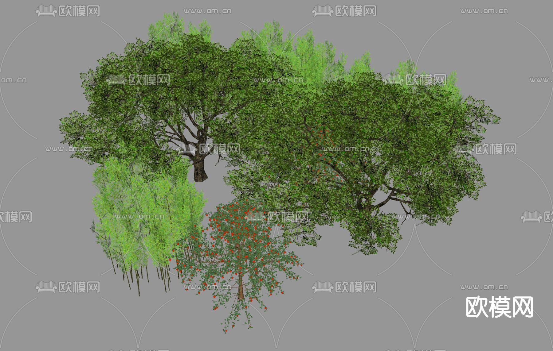 大树 树木 户外植物su模型下载（渲染图1）