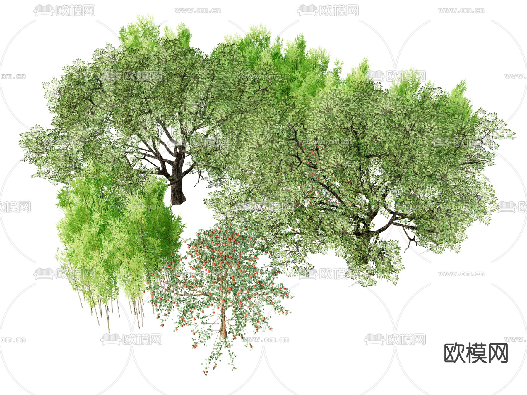 大树 树木 户外植物su模型下载（渲染图2）