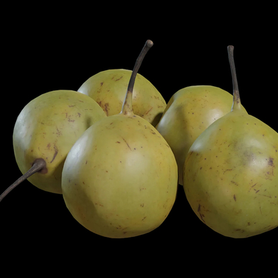  水果 香梨 梨子su模型 