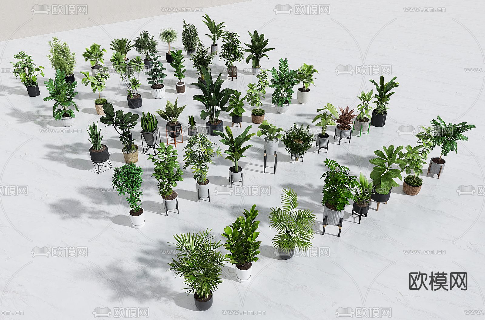 植物盆栽 绿植盆栽3d模型下载