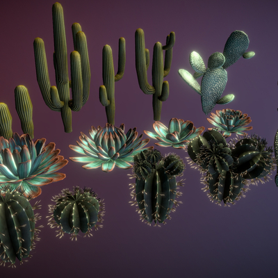  仙人掌 仙人球 热带植物su模型 