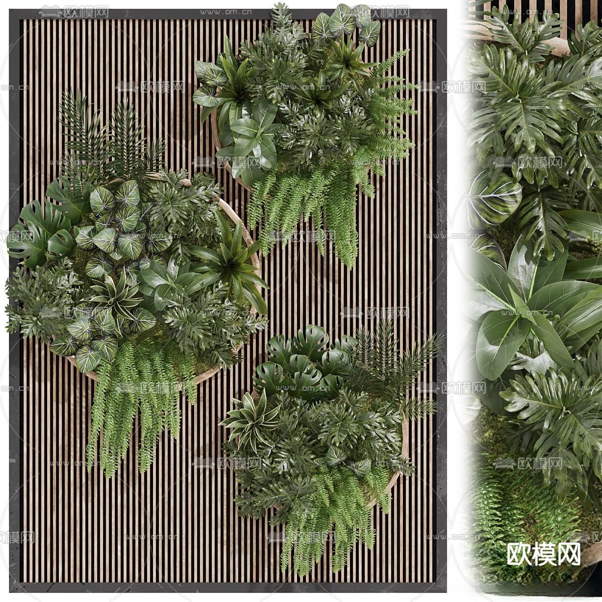 现代植物墙 绿植su模型下载（渲染图3）