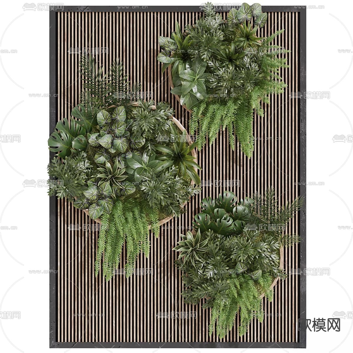 现代植物墙 绿植su模型下载（渲染图2）