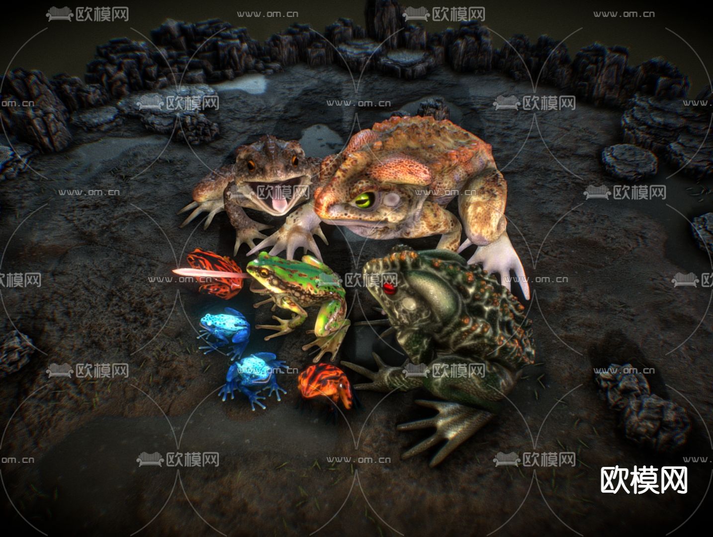 动物 青蛙 蟾蜍 蛤蟆3d模型下载（渲染图2）