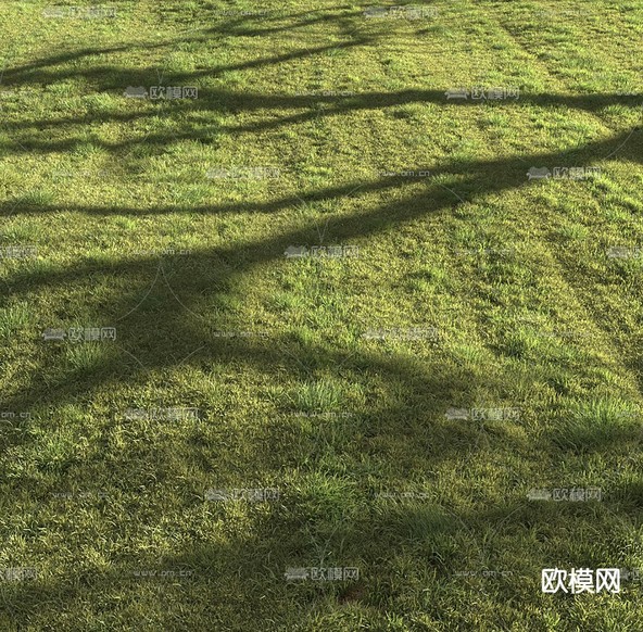 草坪 草地 草皮 绿荫3d模型下载