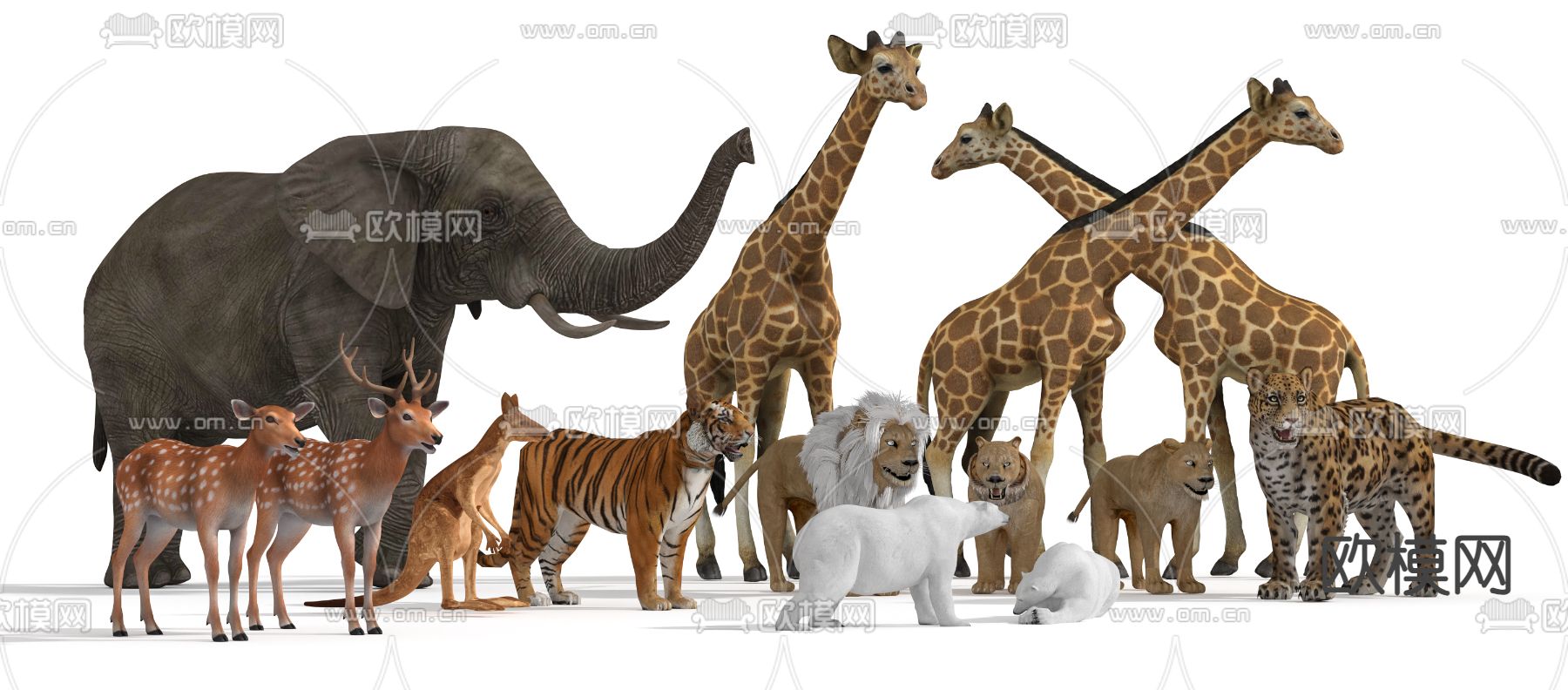 大象 梅花鹿 长颈鹿 袋鼠 动物3d模型下载