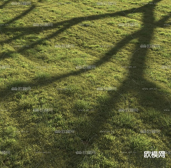 草坪 草地 草皮 绿荫3d模型下载