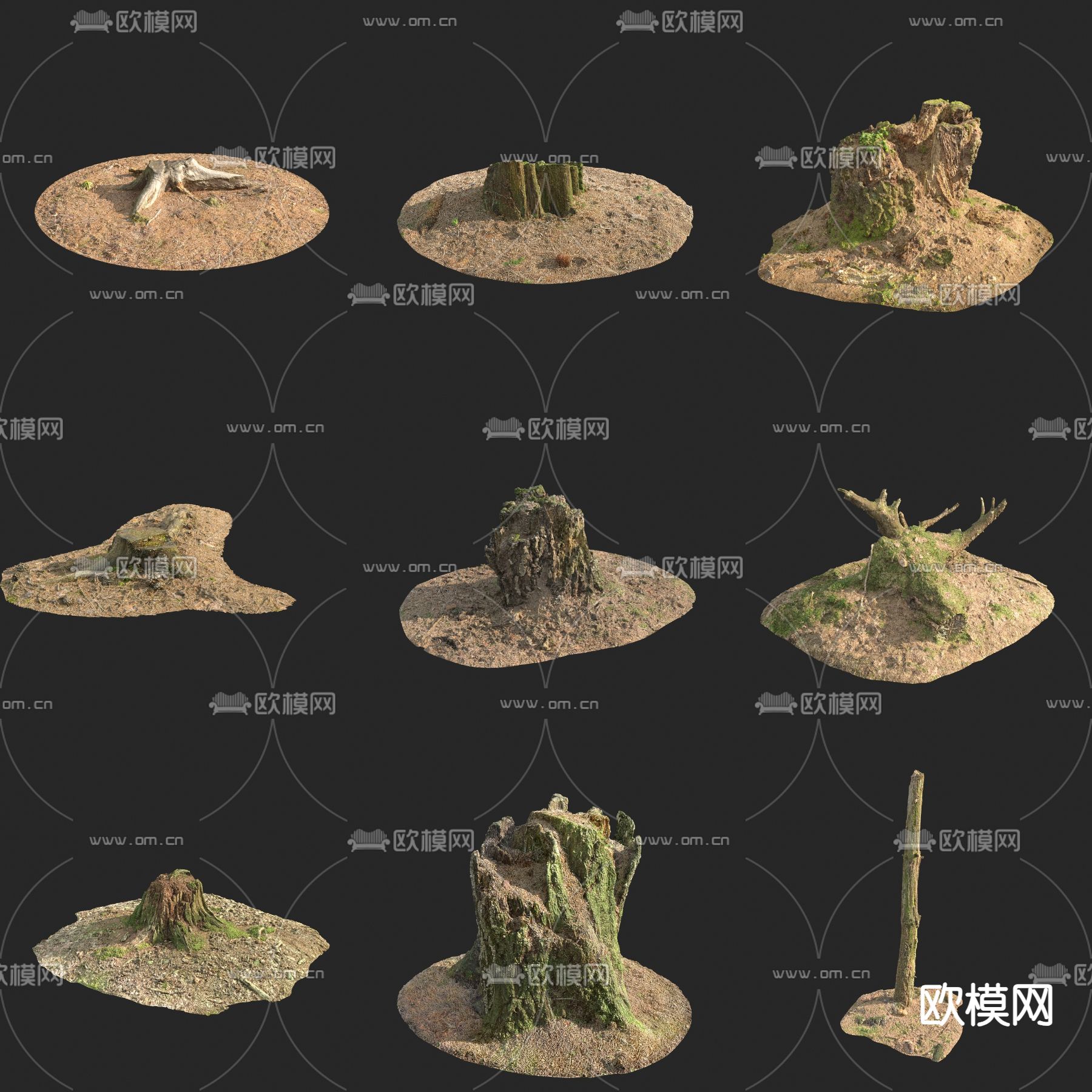 腐木 朽木 枯树桩 枯树枝3d模型下载