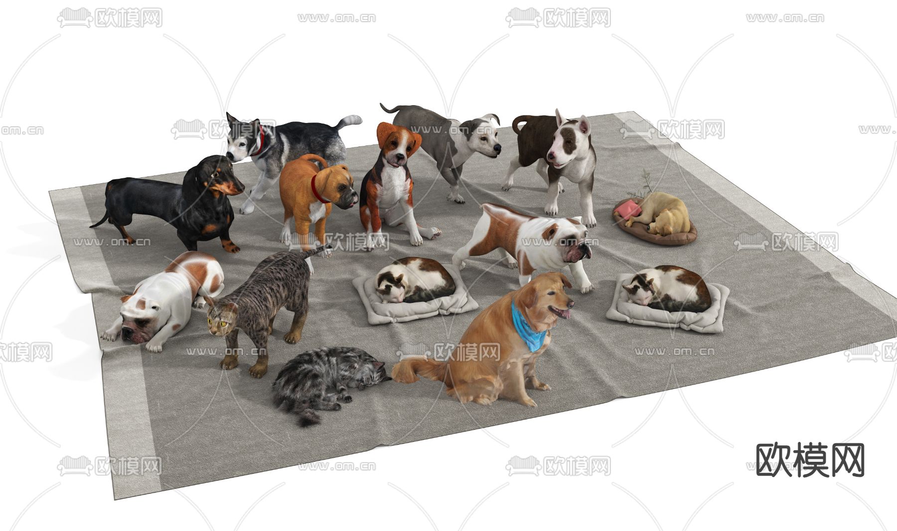 狗 猫 哈士奇 贵宾犬 动物3d模型下载