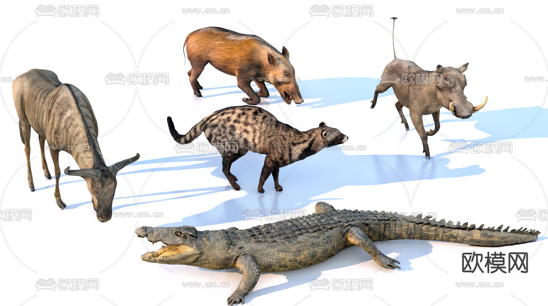 非洲动物 鳄鱼 狸猫 野猪 牛 野生动物3d模型下载