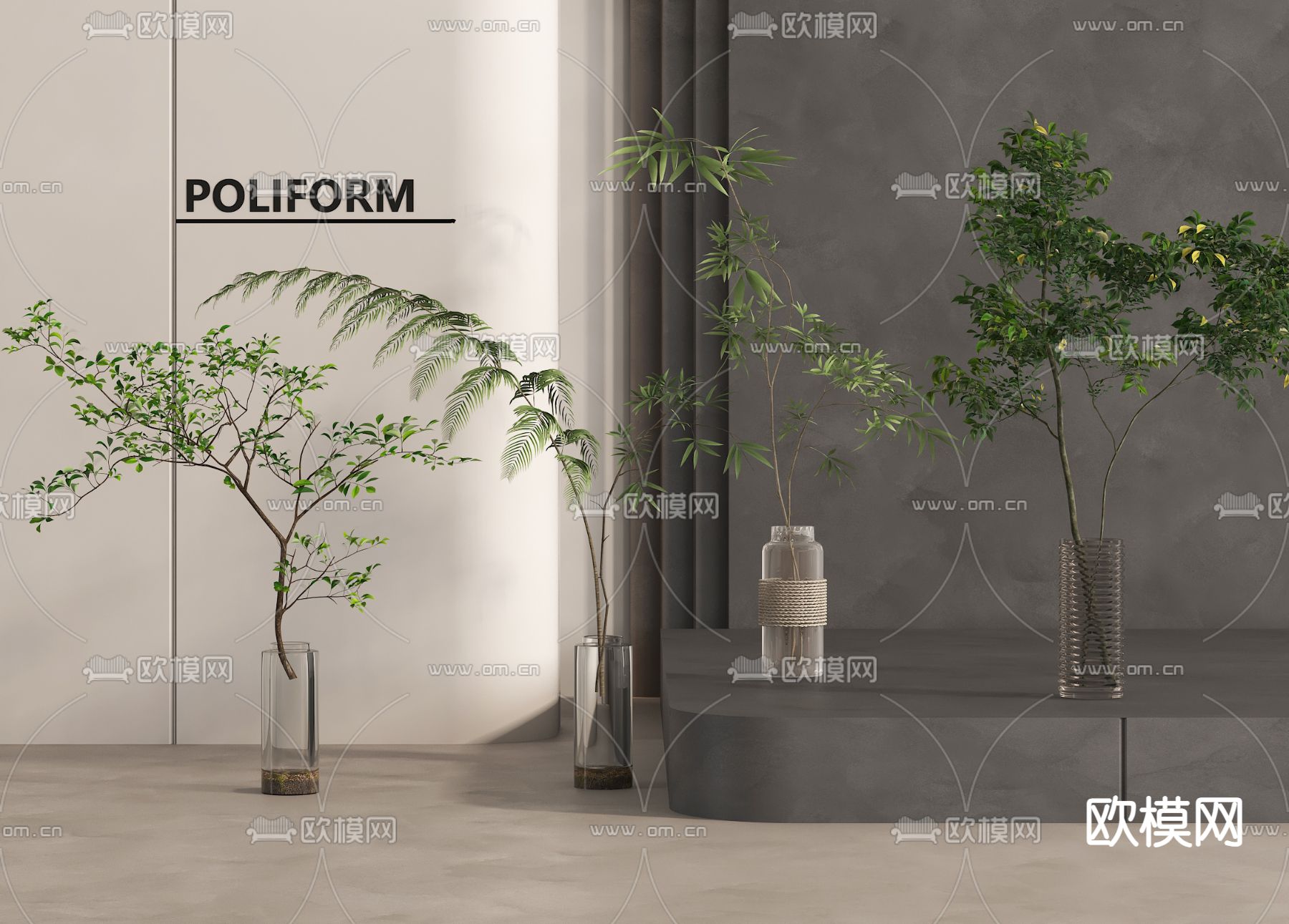 水生植物 水培绿植3d模型下载