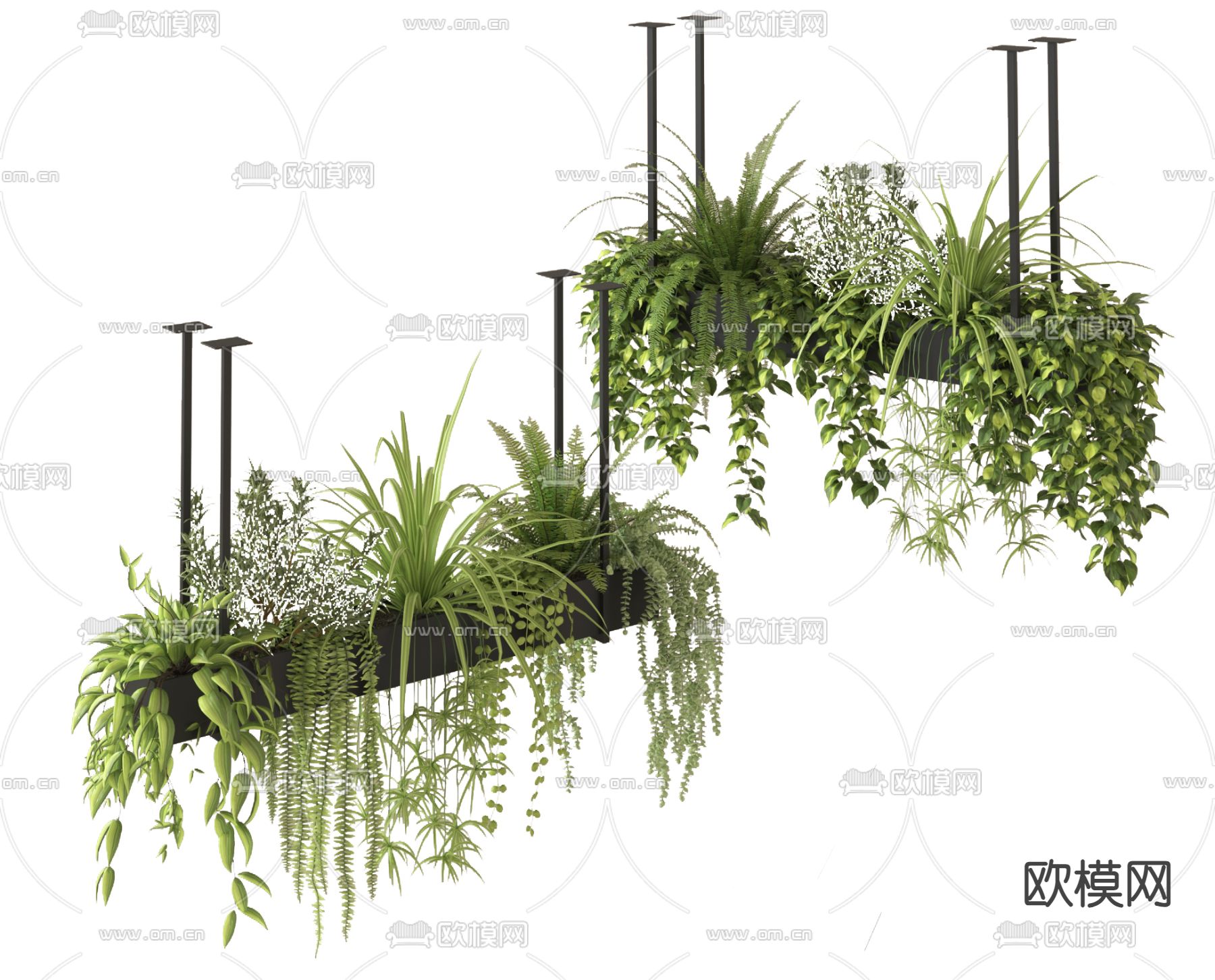 吊篮 绿植 悬吊植物3d模型下载