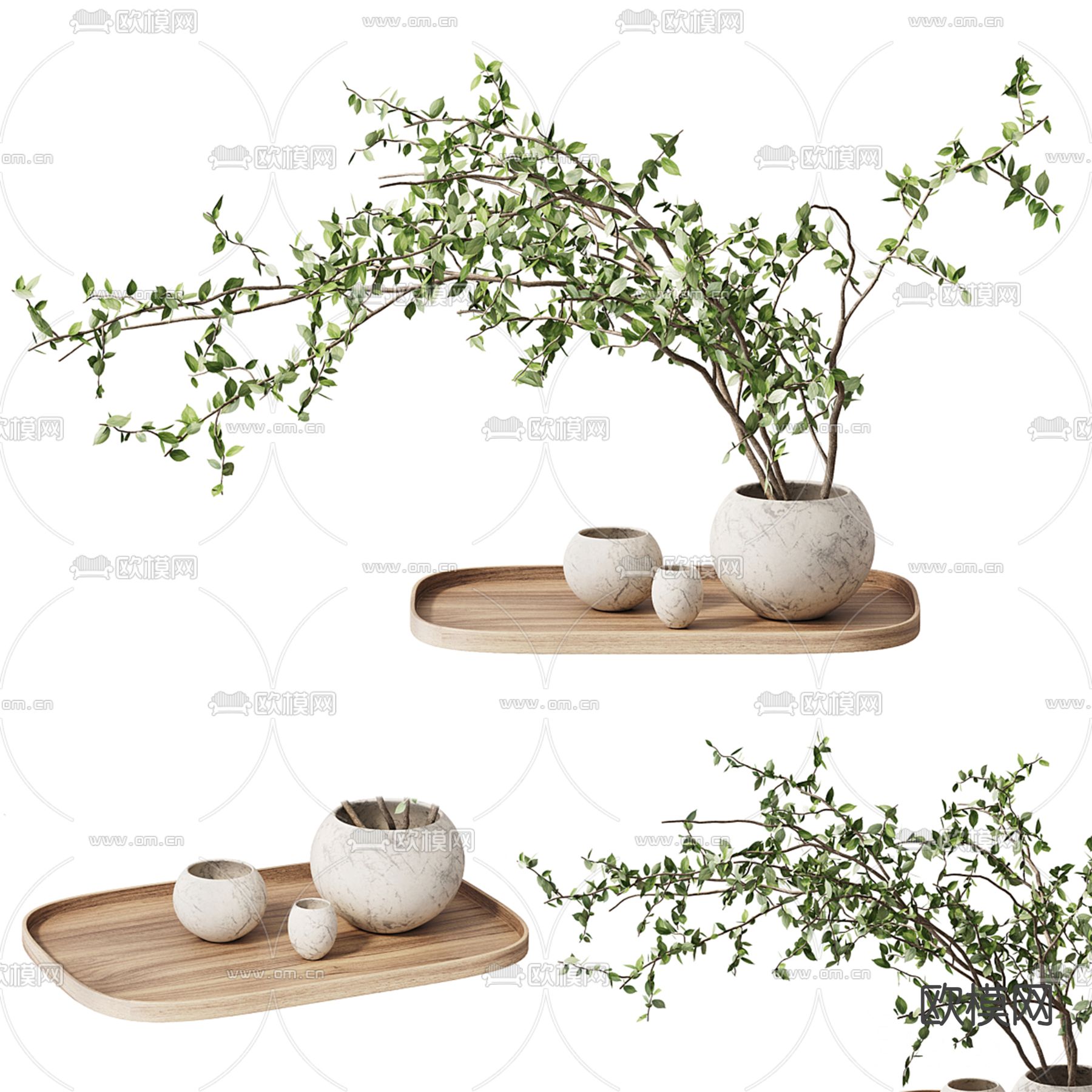 绿植盆栽 盆景3d模型下载