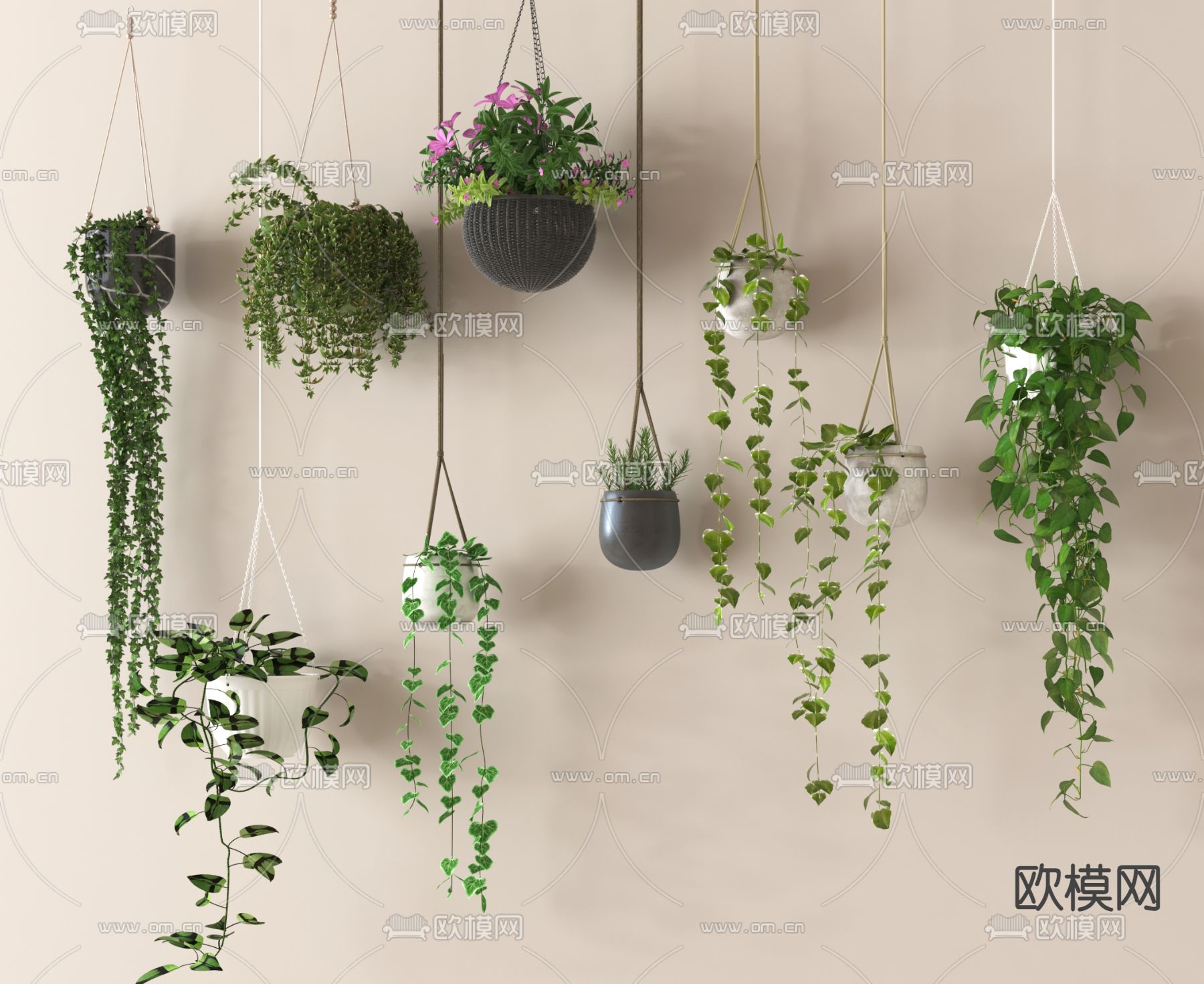 吊篮绿植 悬吊植物 吊盆3d模型下载