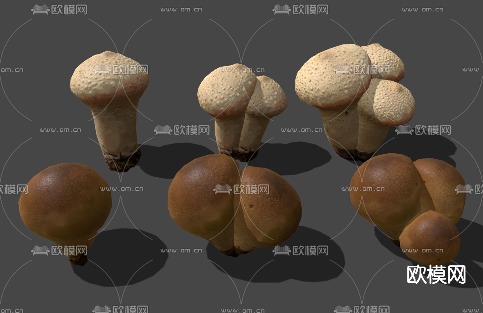 食用菌菇 蘑菇3d模型下载