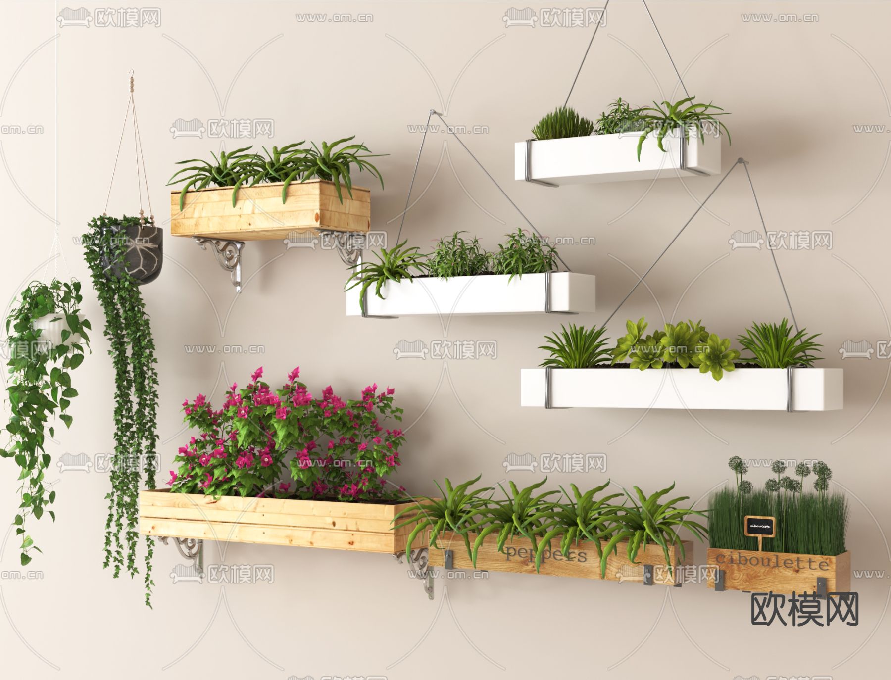 吊篮绿植 悬吊植物 吊盆3d模型下载