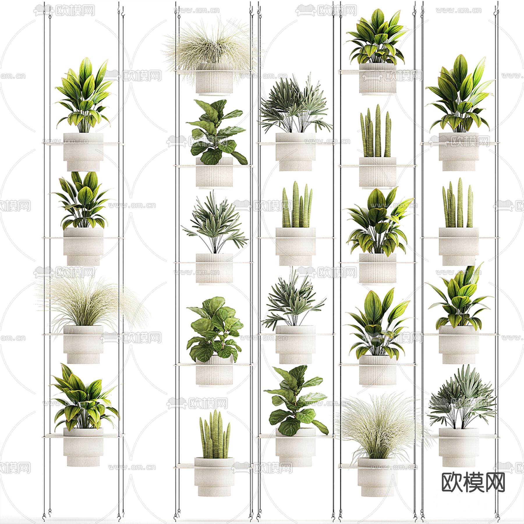 绿植盆栽 吊篮3d模型下载