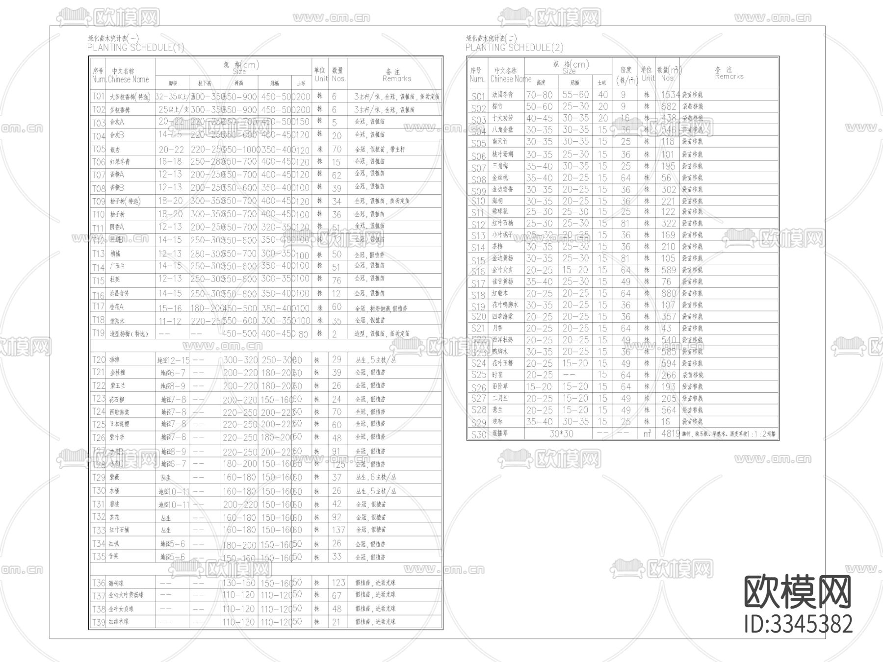 湖南苗木表 施工图下载