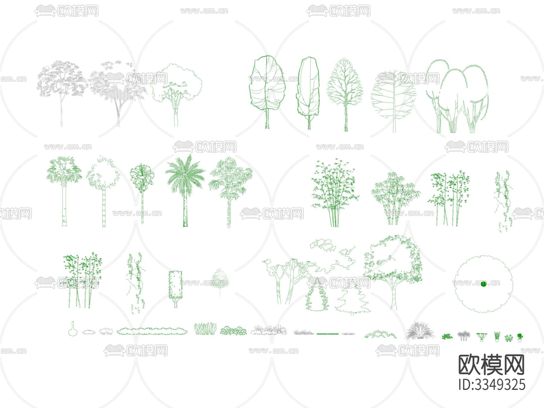 园林景观植物cad立面图下载