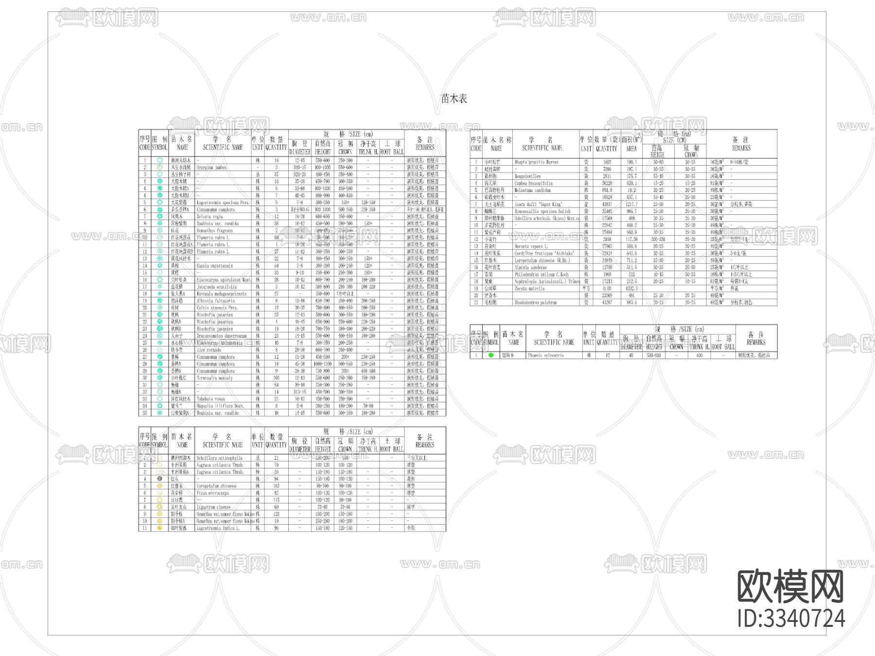 苗木表 施工图下载