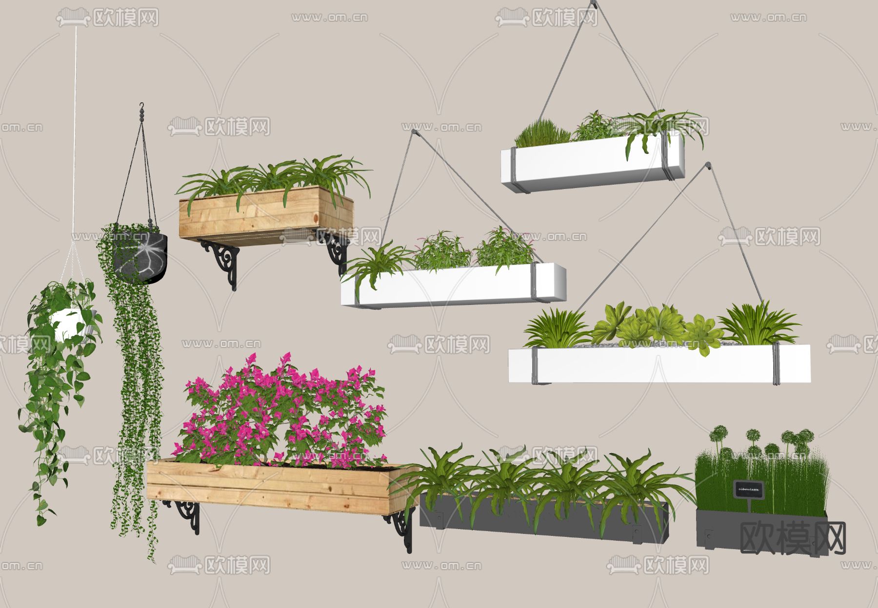 盆栽 盆景 吊篮su模型下载（渲染图1）