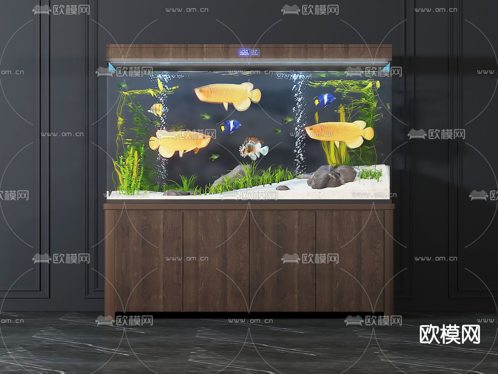 鱼缸 水族 热带鱼3d模型下载