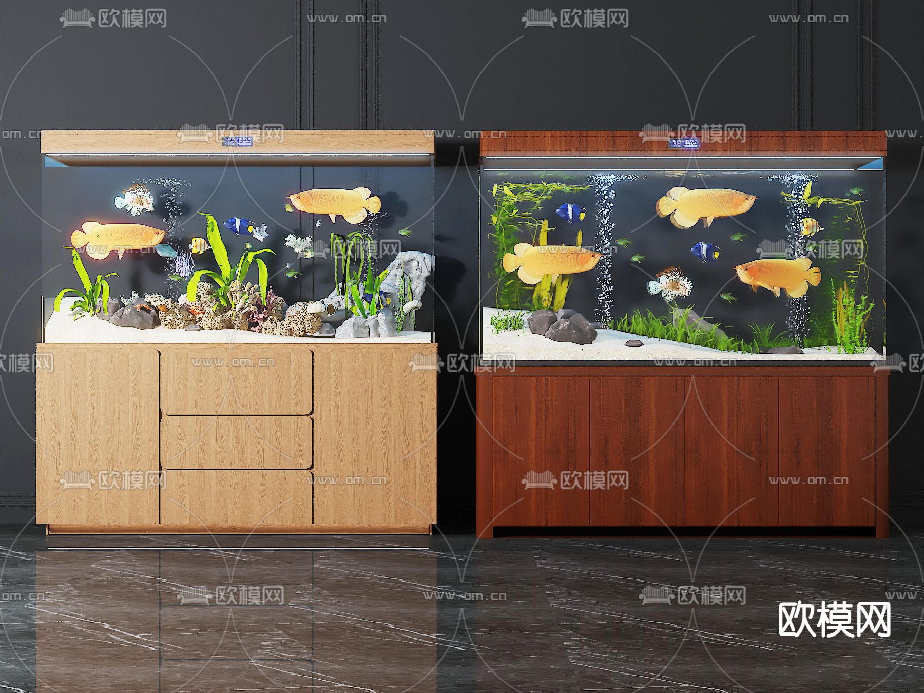 鱼缸 水族 热带鱼3d模型下载