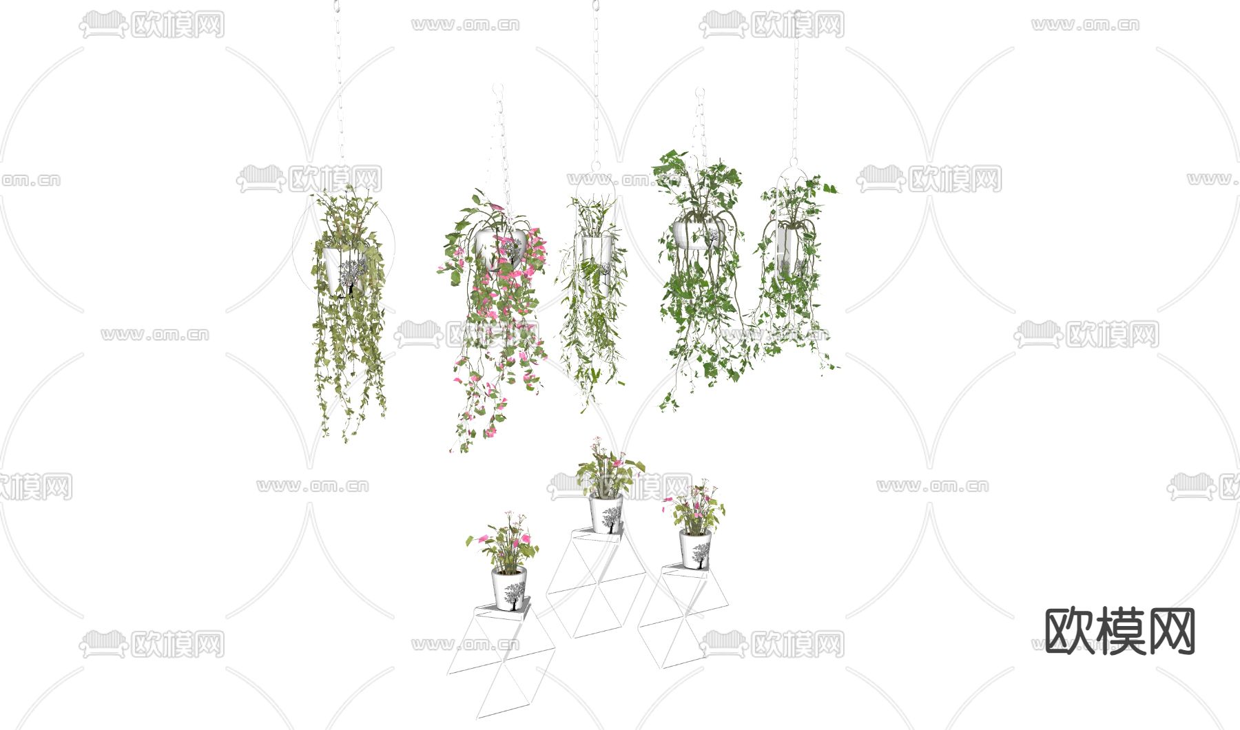 吊篮 室内盆栽3d模型下载（渲染图2）