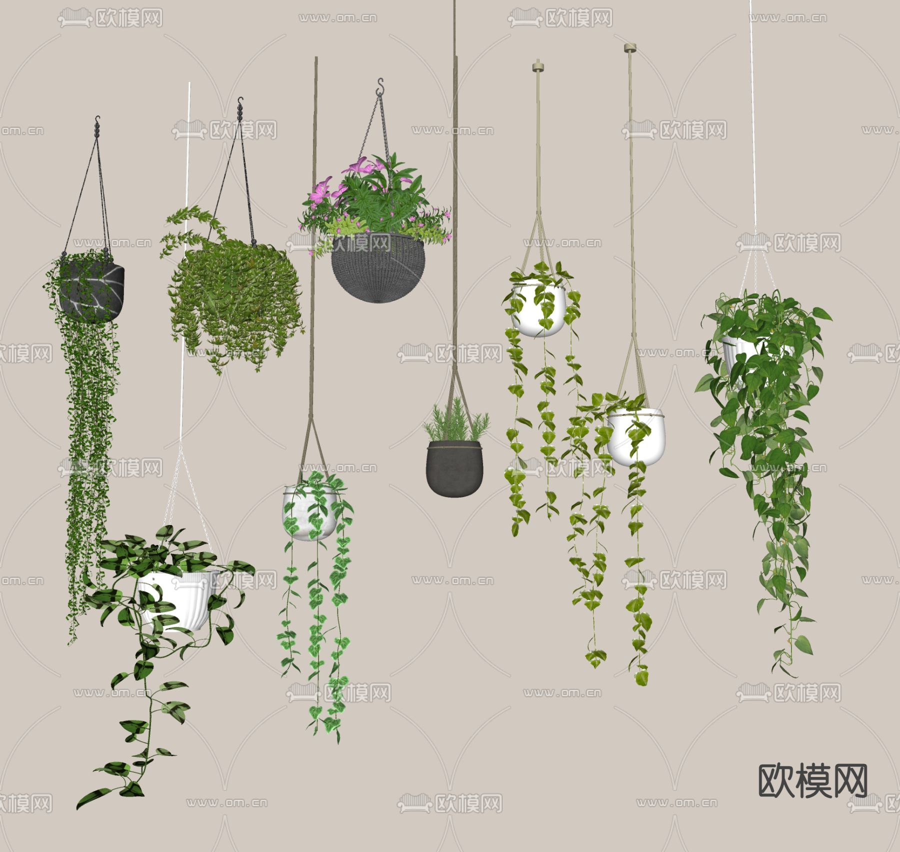 盆栽 盆景 吊篮su模型下载（渲染图1）