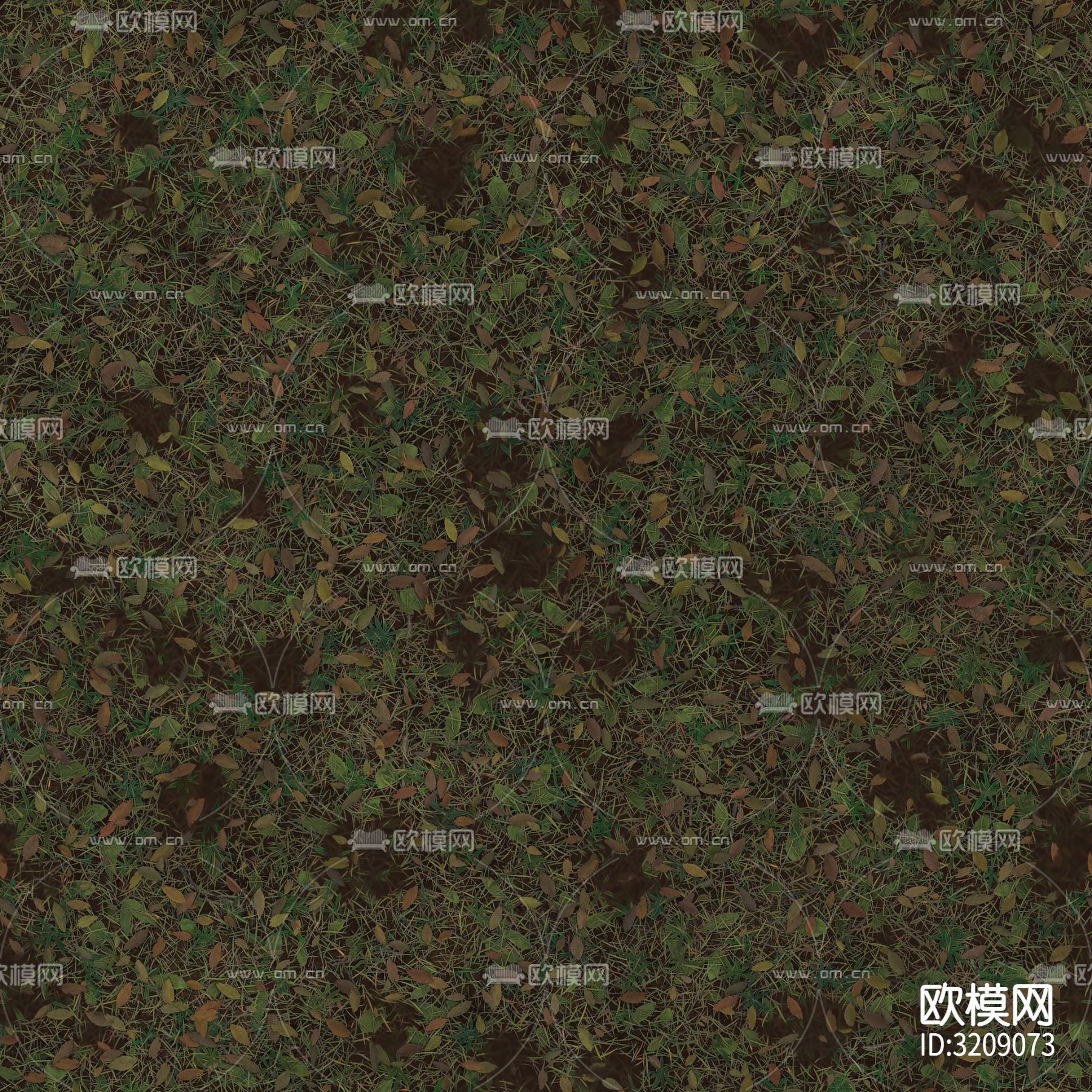 草坪 草地 草皮贴图下载