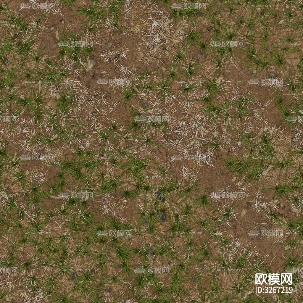 草坪 草地贴图下载