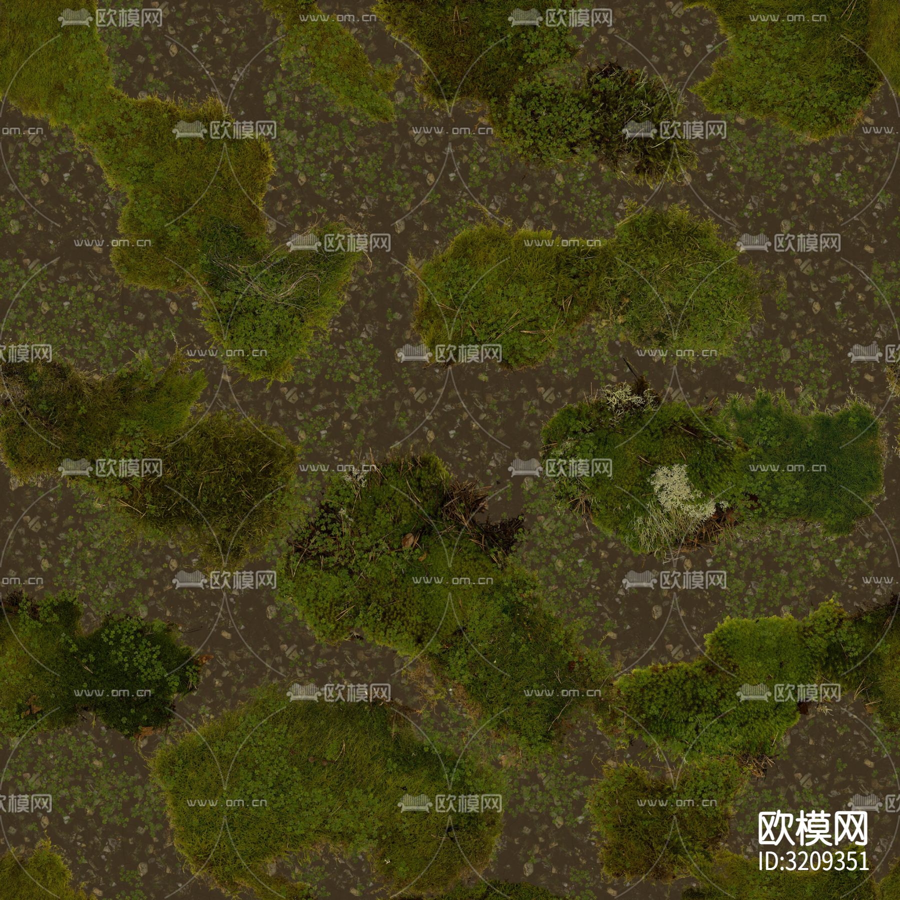 草坪 草地 草皮贴图下载