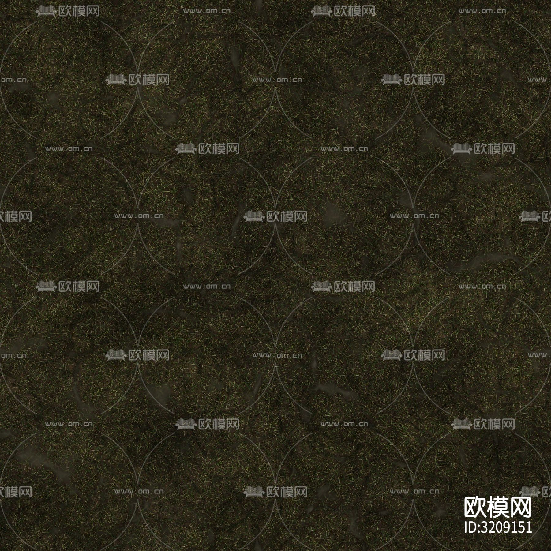 草坪 草地 草皮贴图下载