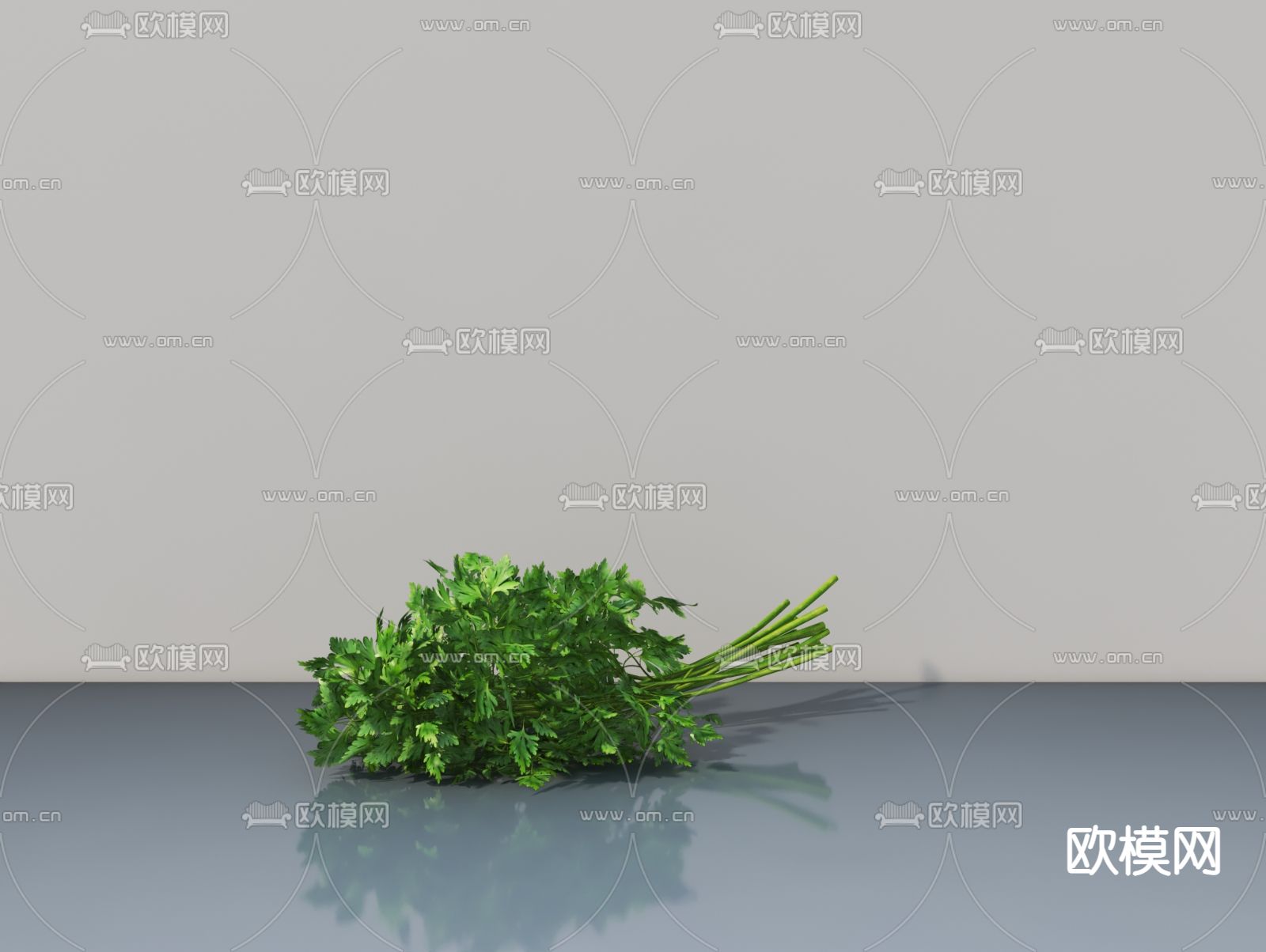 菜 香菜 食物3d模型下载