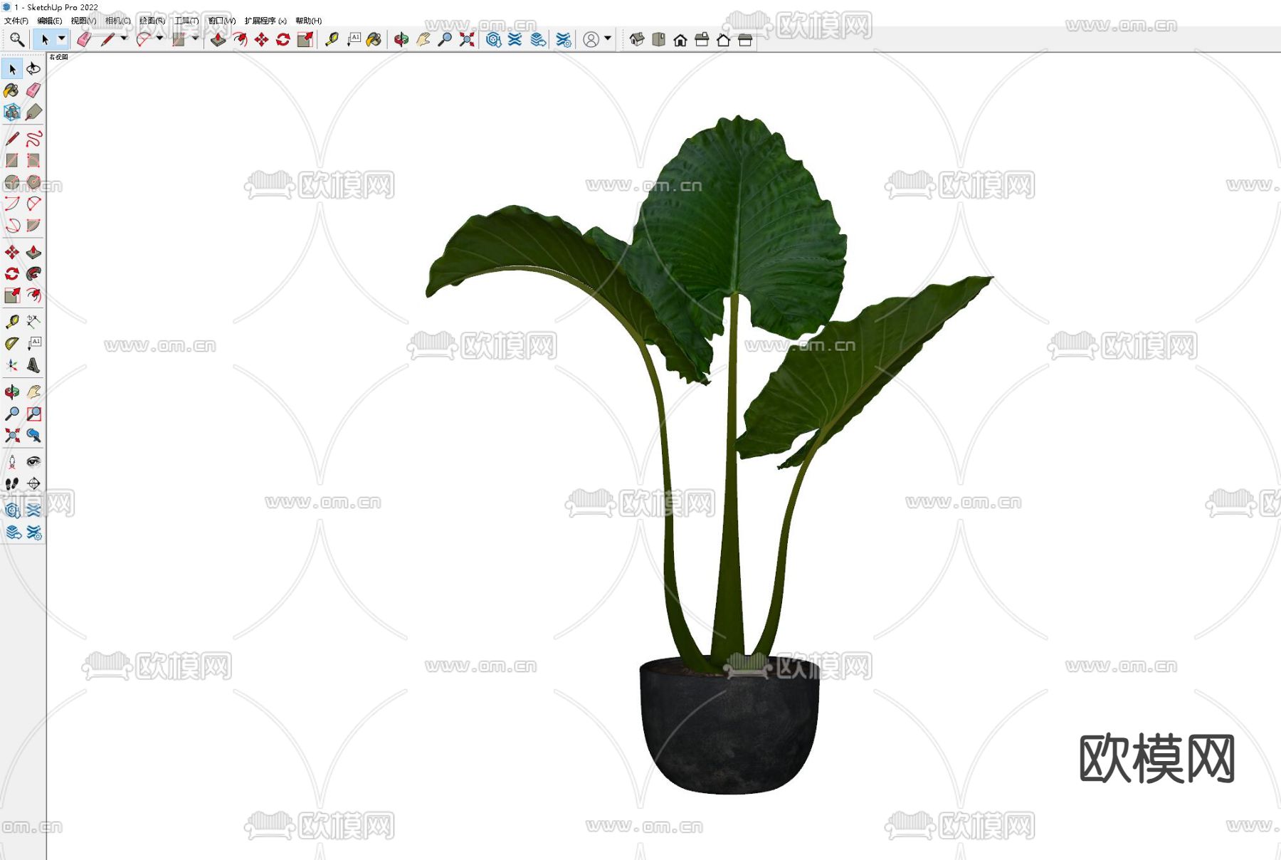 盆栽 绿植 盆景su模型下载