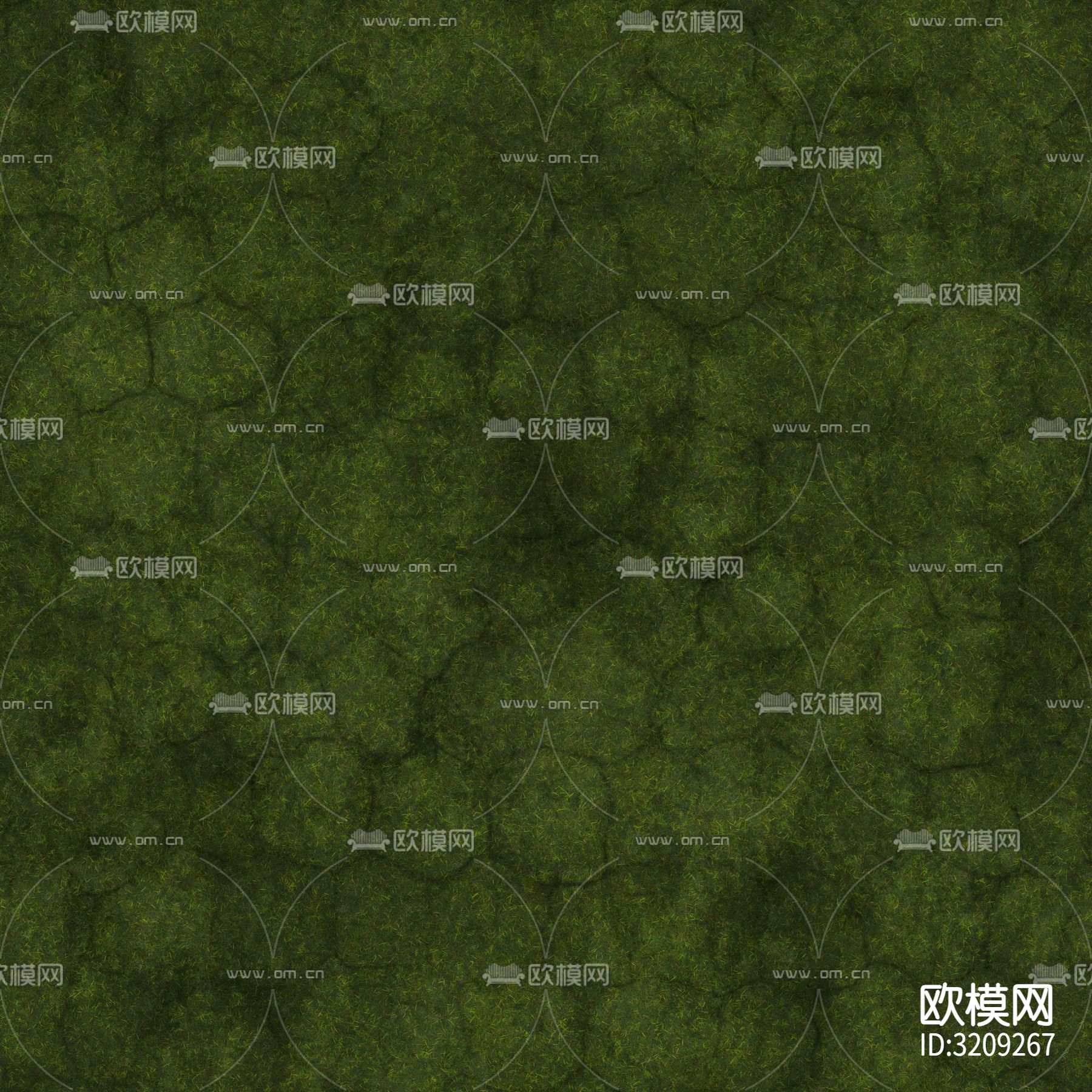 草坪 草地 草皮贴图下载