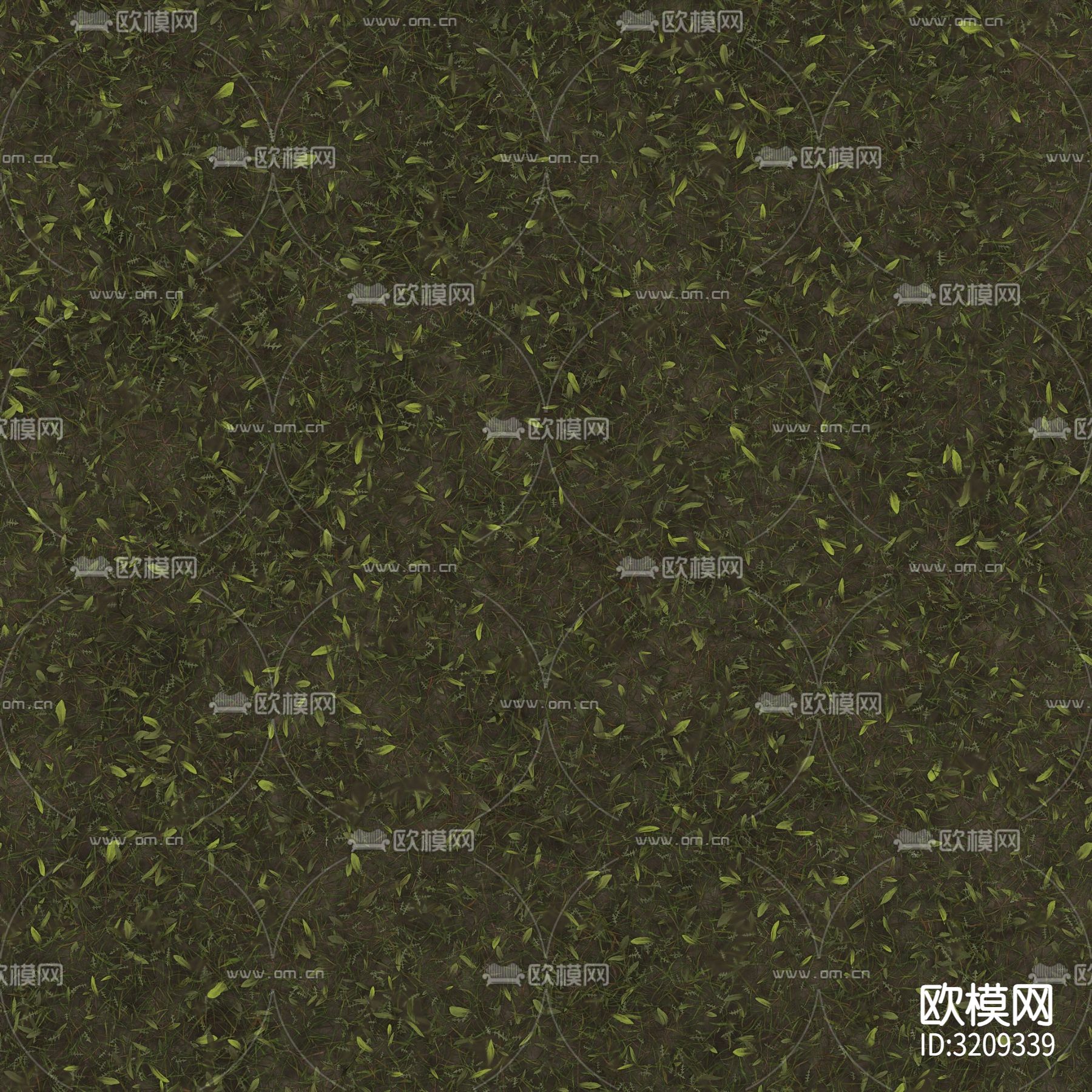 草坪 草地 草皮贴图下载（渲染图1）