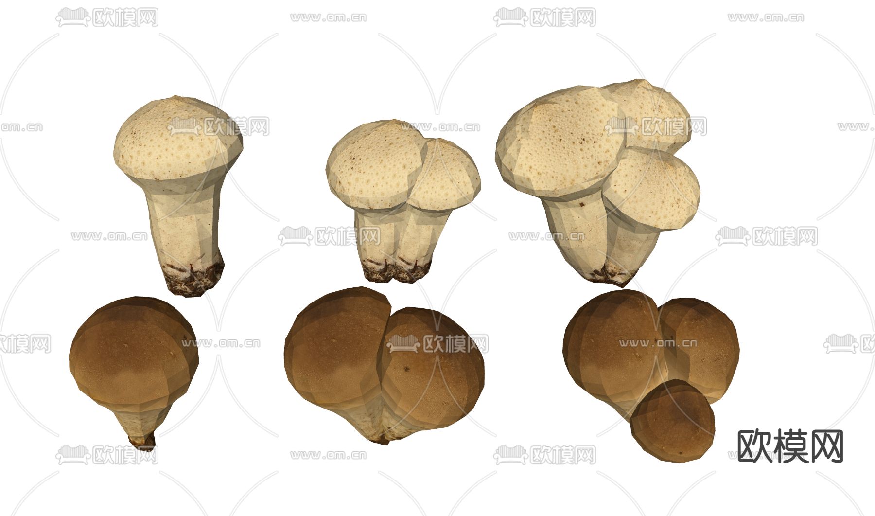 野生蘑菇 食用菌菇 蘑菇su模型下载（渲染图1）