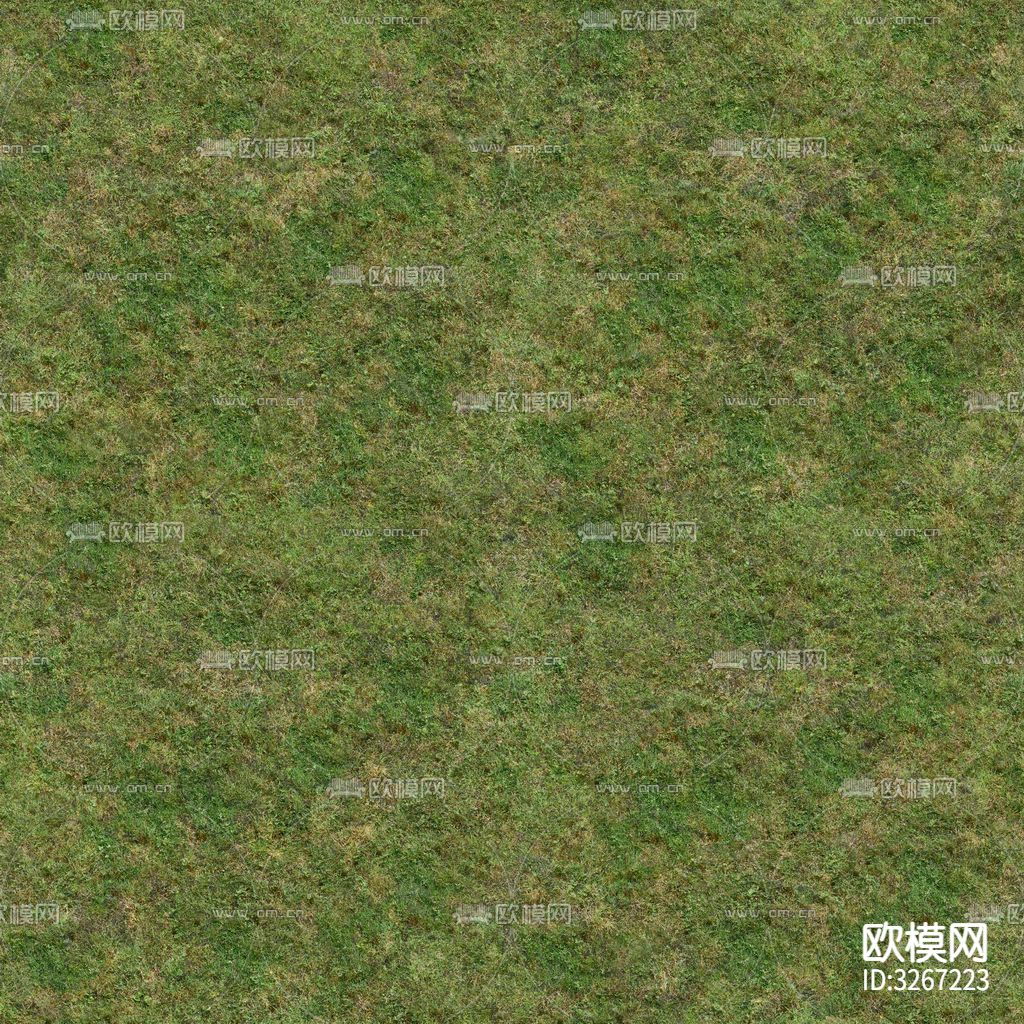 草坪草地贴图下载