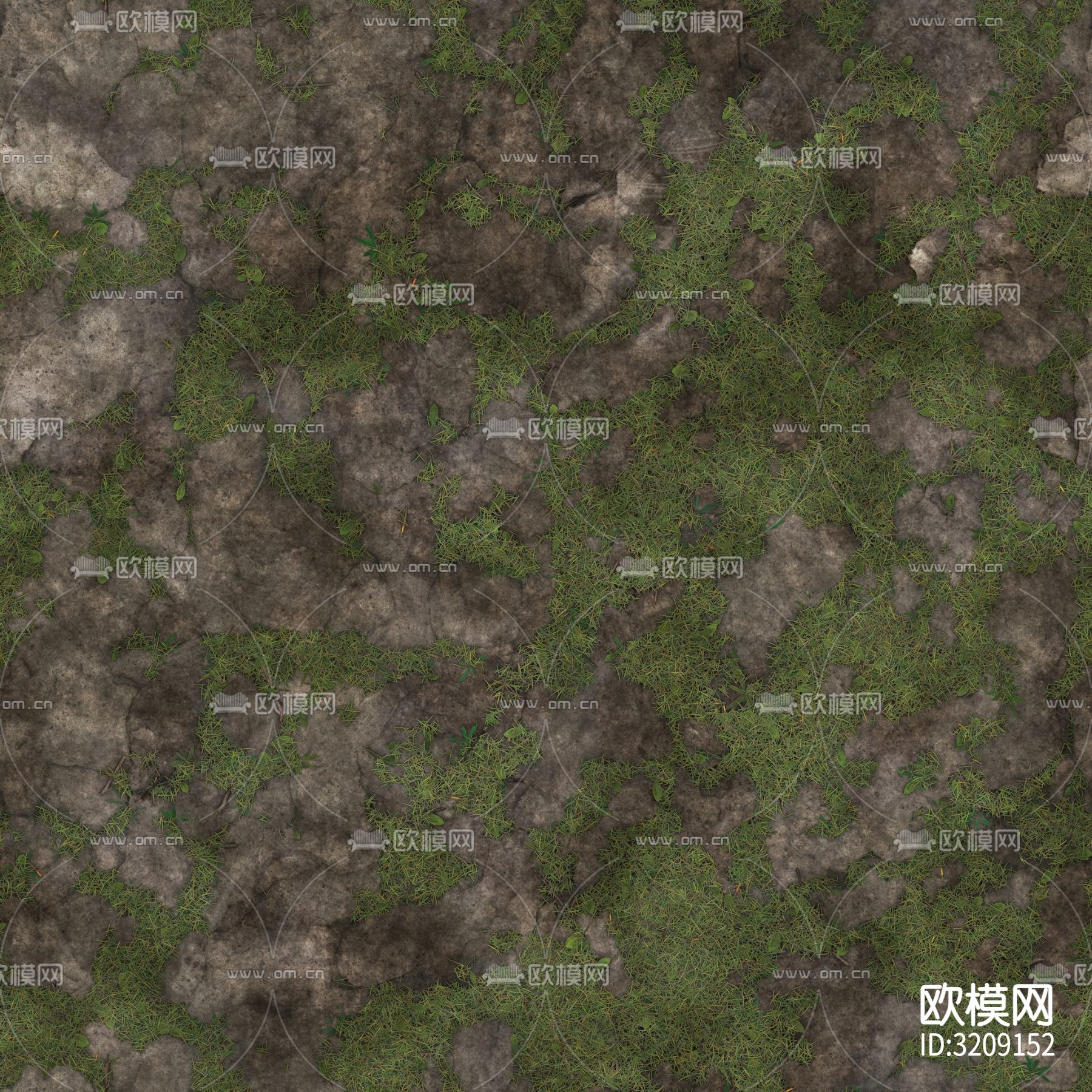 草坪 草地 草皮贴图下载