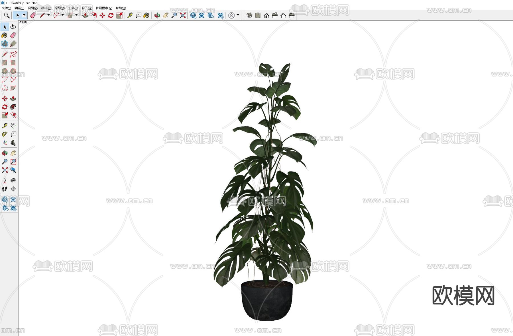 盆栽 绿植 盆景su模型下载（渲染图1）