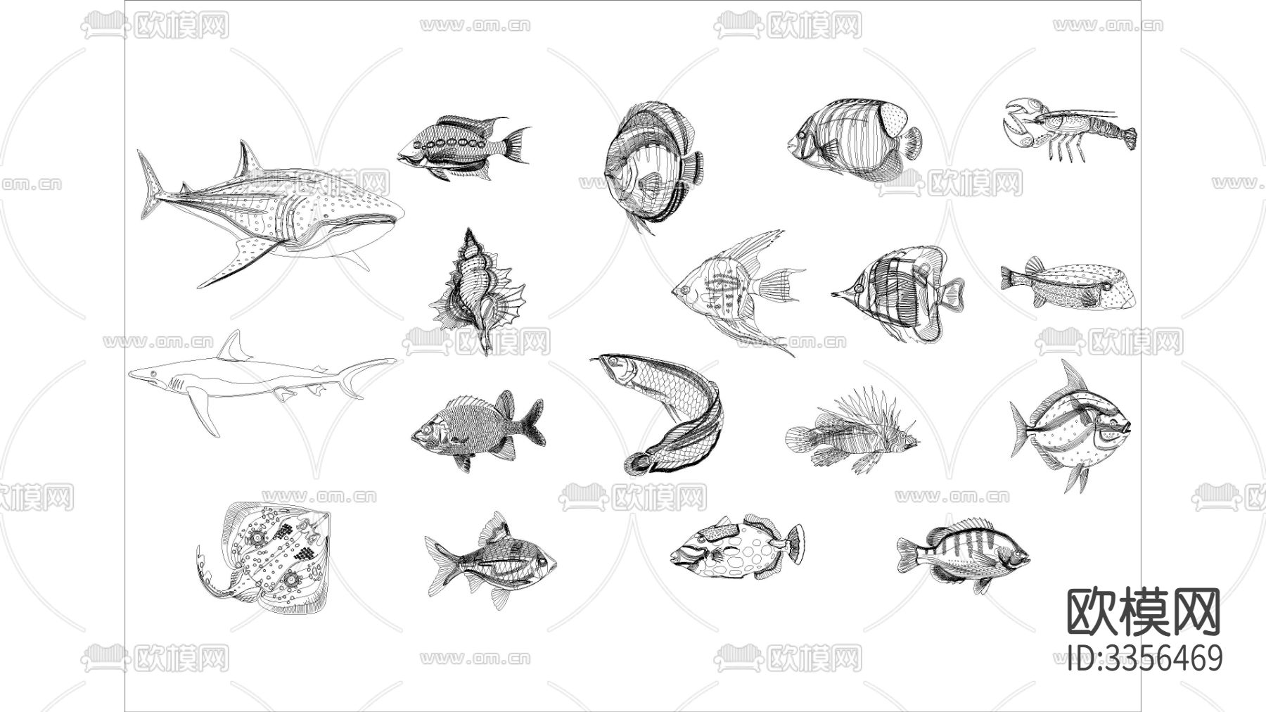 海里鱼类cad图库下载