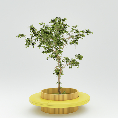  现代树池 绿植su模型 