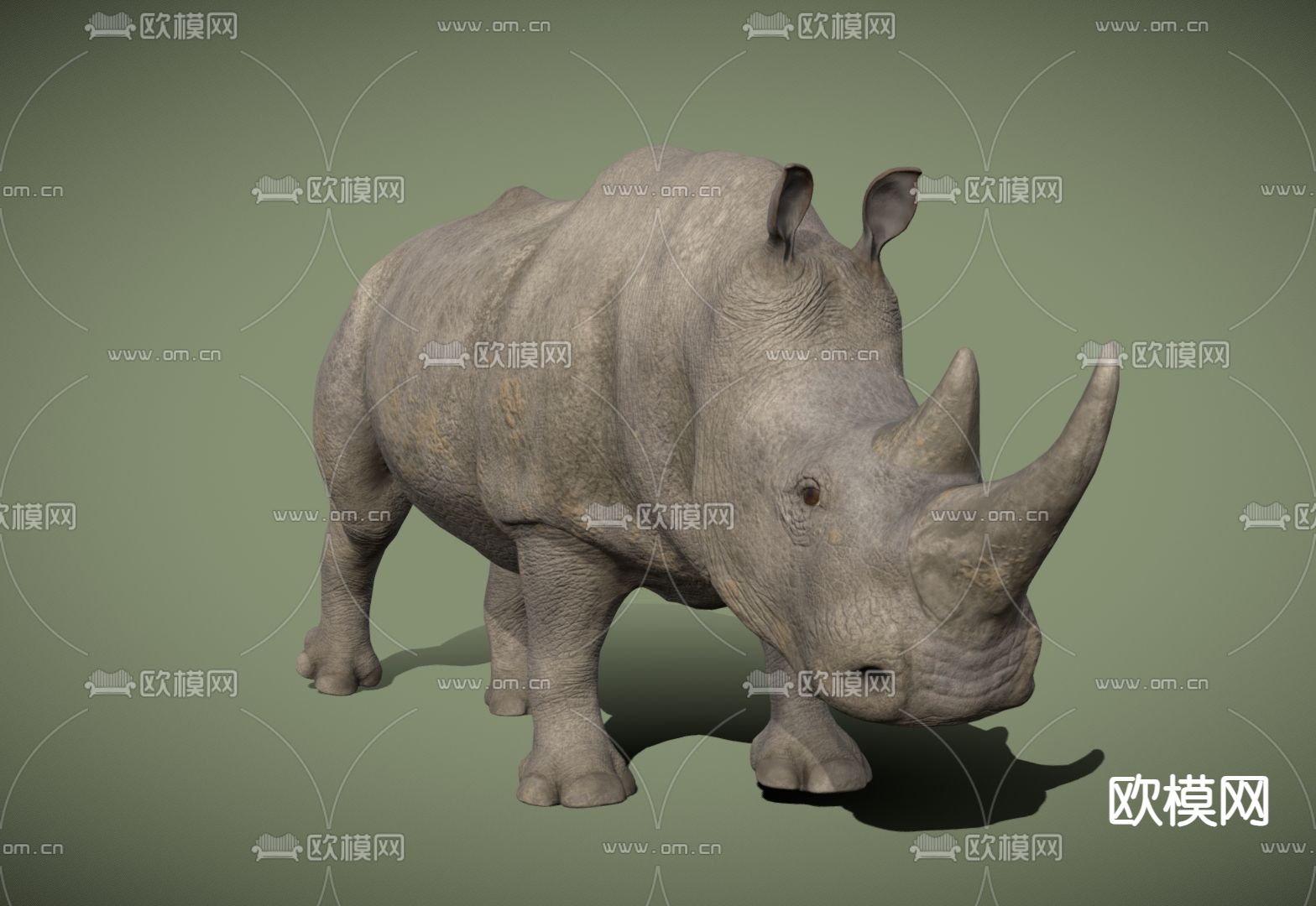 犀牛 热带动物3d模型下载