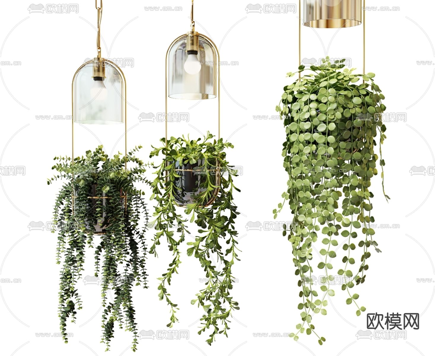 吊篮植物 垂吊绿植3d模型下载