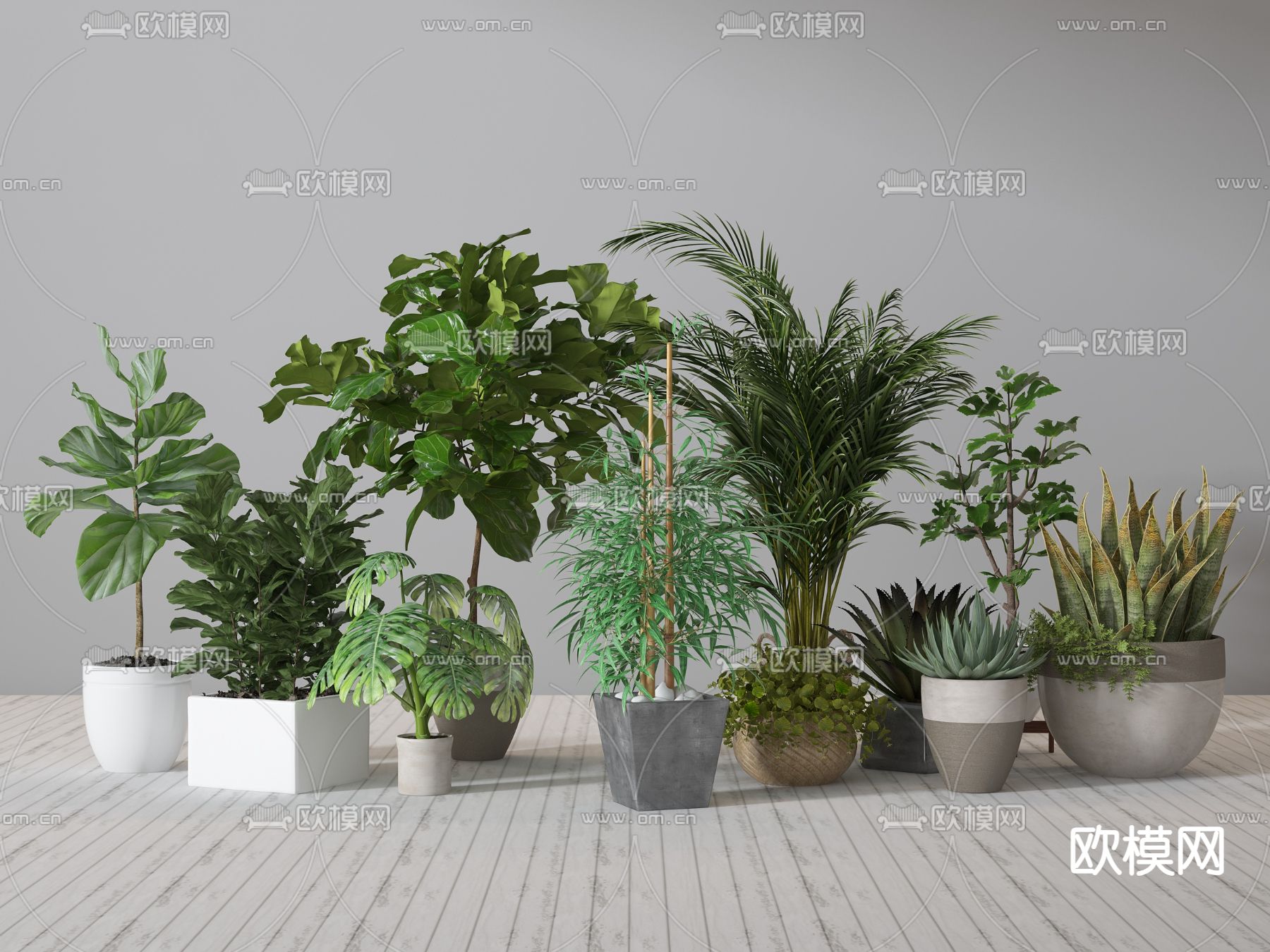 蕨类盆栽 植物盆栽 龟背竹 芦荟3d模型下载