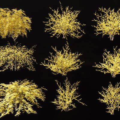  迎春花 连翘花 灌木su模型 