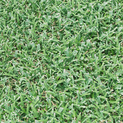  草地 草坪 绿茵su模型 